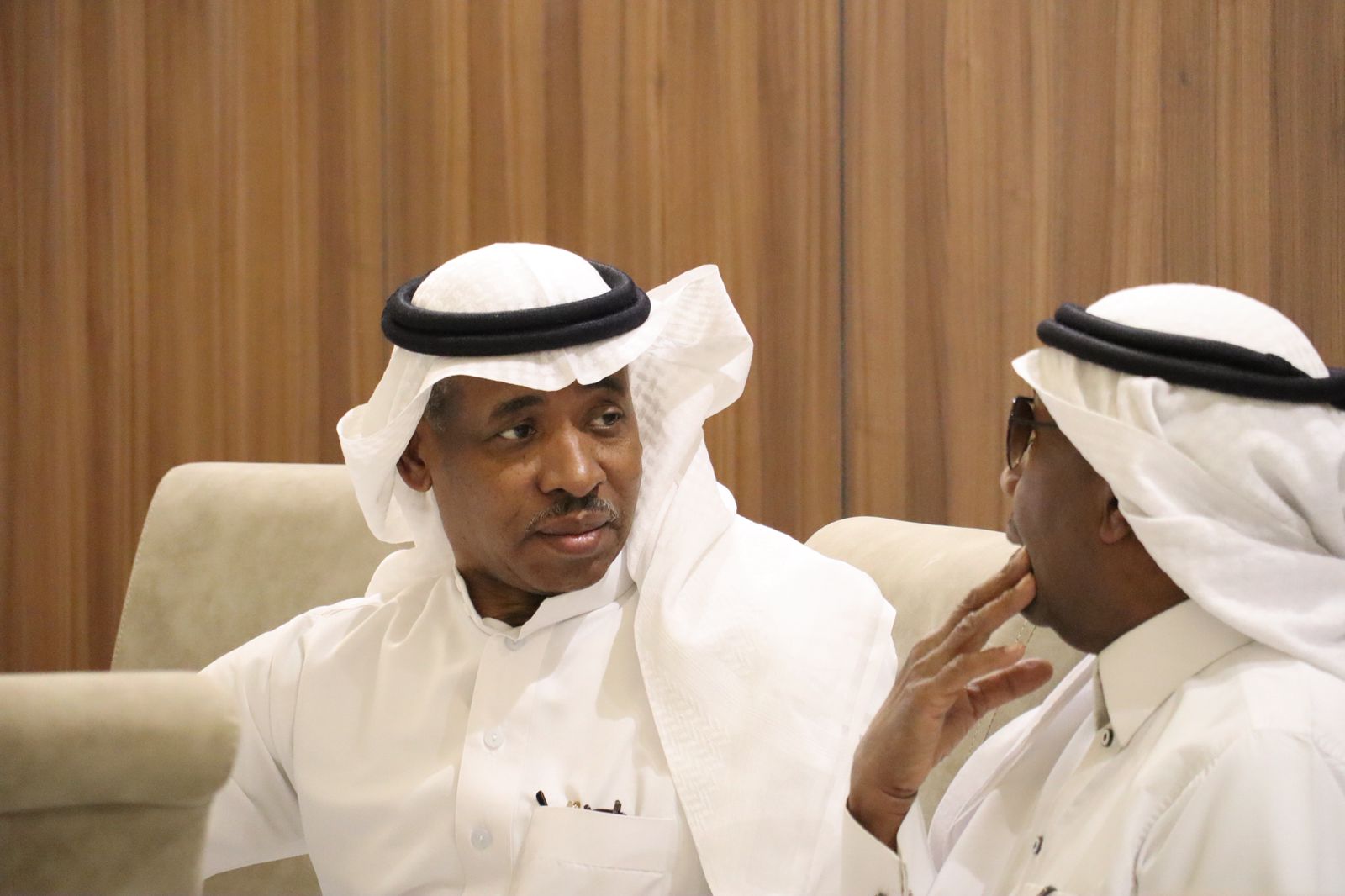 صورة للجمهور